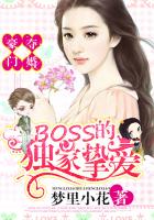 Ŷ飺BOSSĶֿ